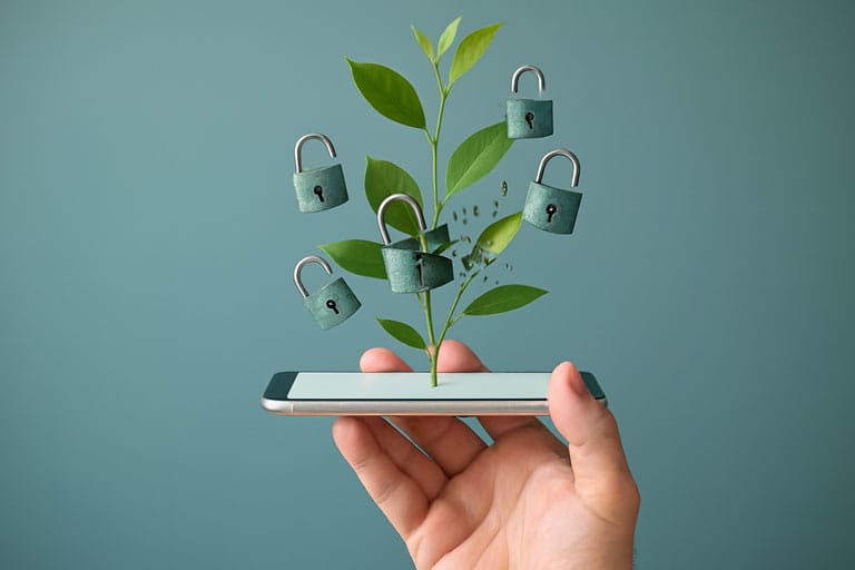 Mano sosteniendo smartphone con planta y candados abiertos, sobre fondo color teal